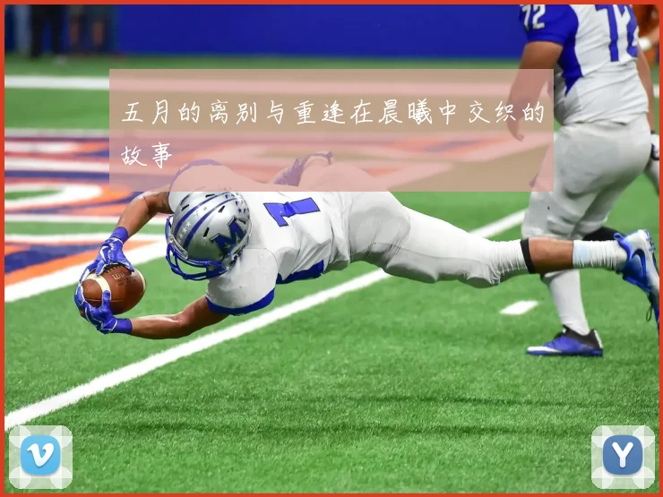 五月的离别与重逢在晨曦中交织的故事