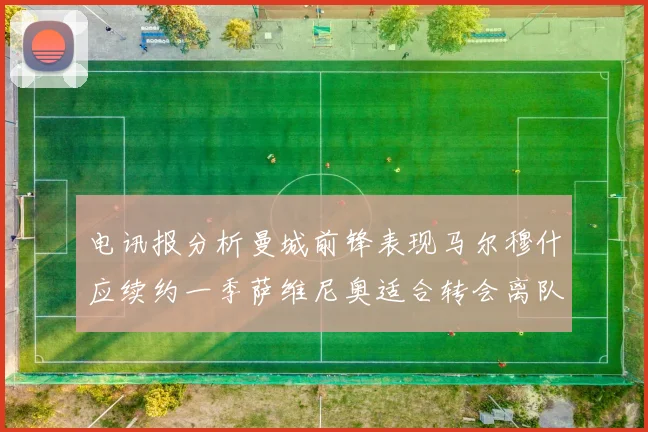电讯报分析曼城前锋表现马尔穆什应续约一季萨维尼奥适合转会离队